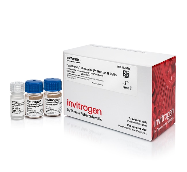 Dynabeads™ Untouched™ Human B Cells Kit